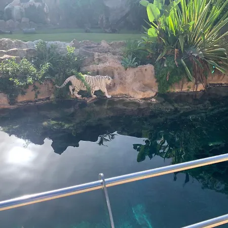 Apartment Superbe Avec Vue Sur L Ocean