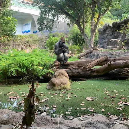 Superbe Avec Vue Sur L Ocean *